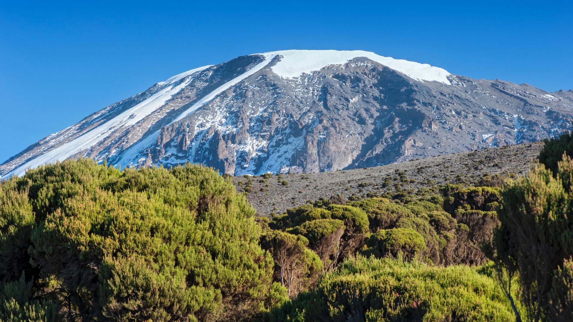 Kilimanjaro Ruta Umbwe — Ascenso Directo de 6 días