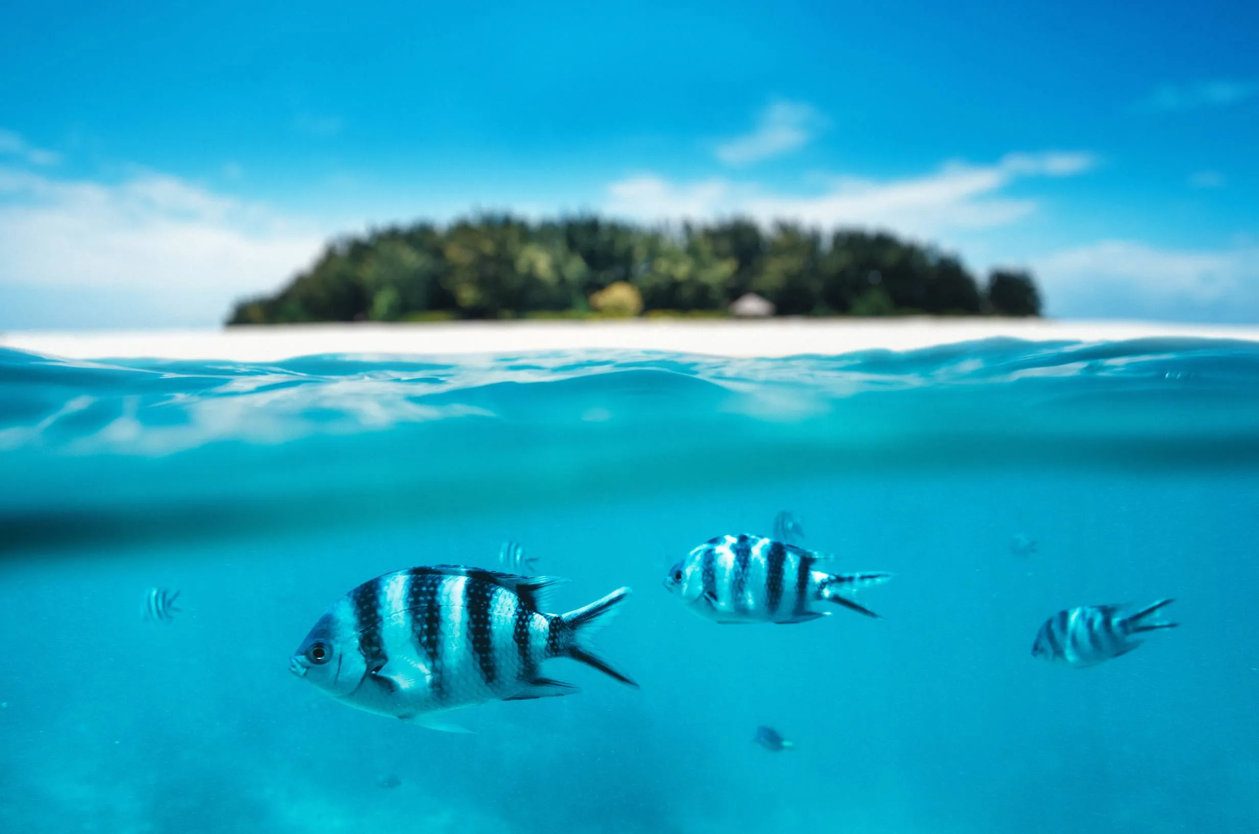 Featured Tanzania destination