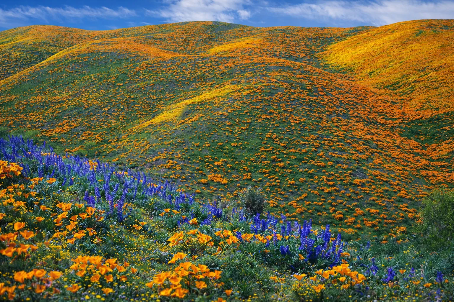 Kitulo-Nationalpark