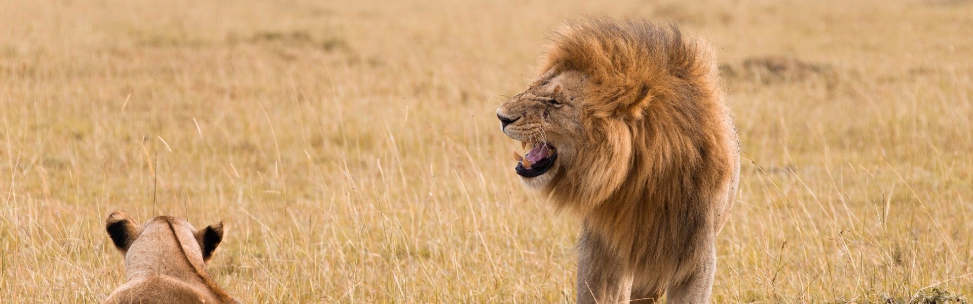 Photography Safari