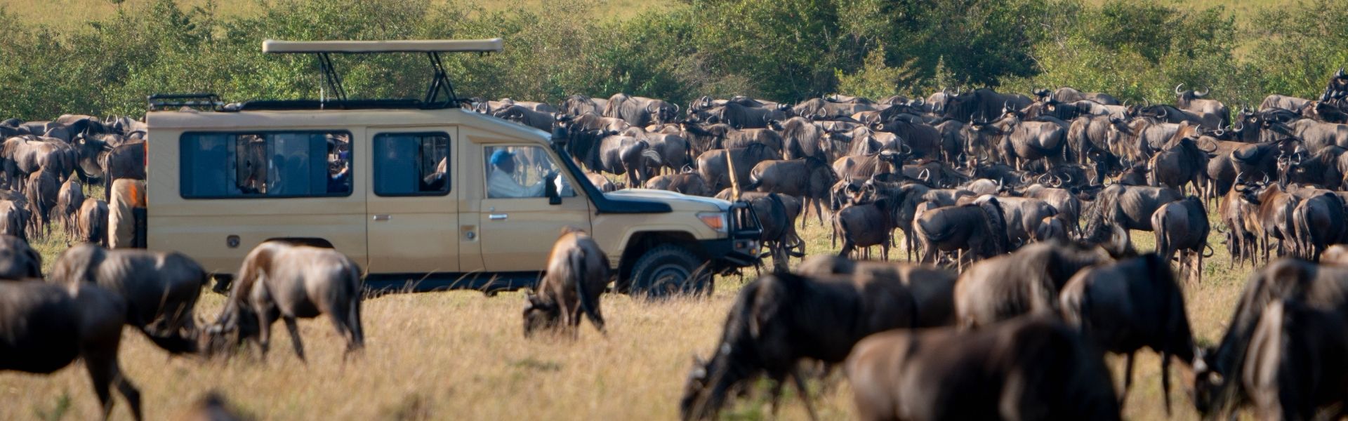 Great Migration