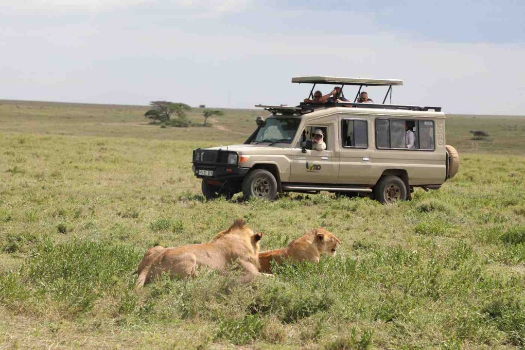 Ngorongoro to Arusha - Departure